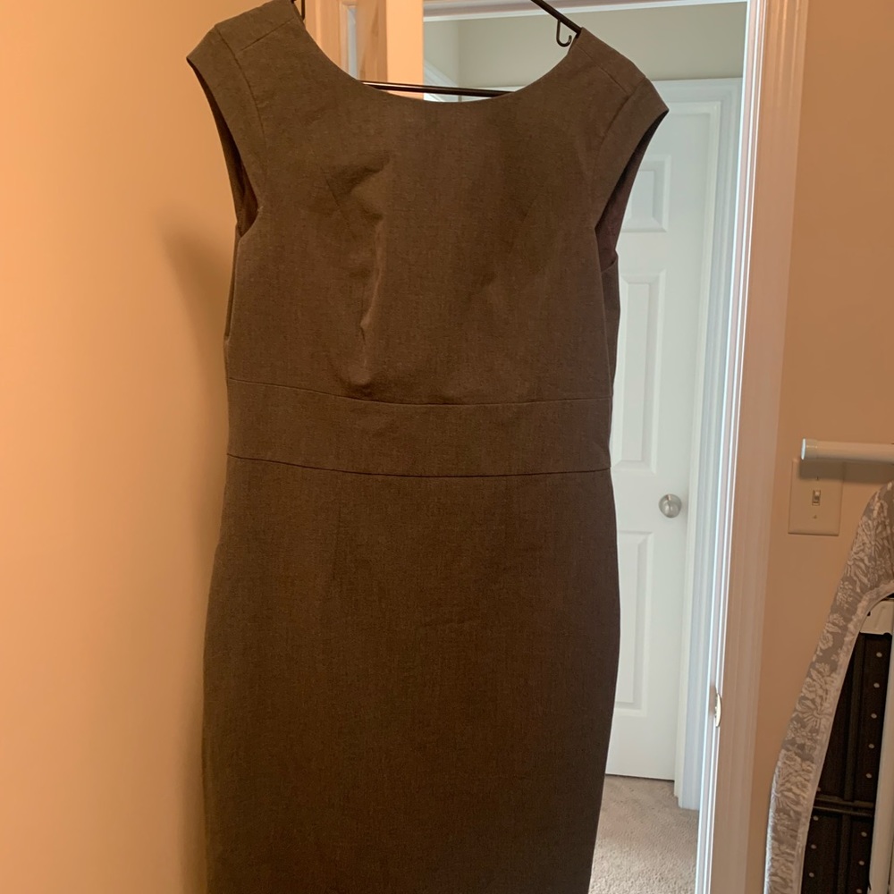 Limited shift dress